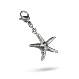 Charm ETOILE DE MER - argent
